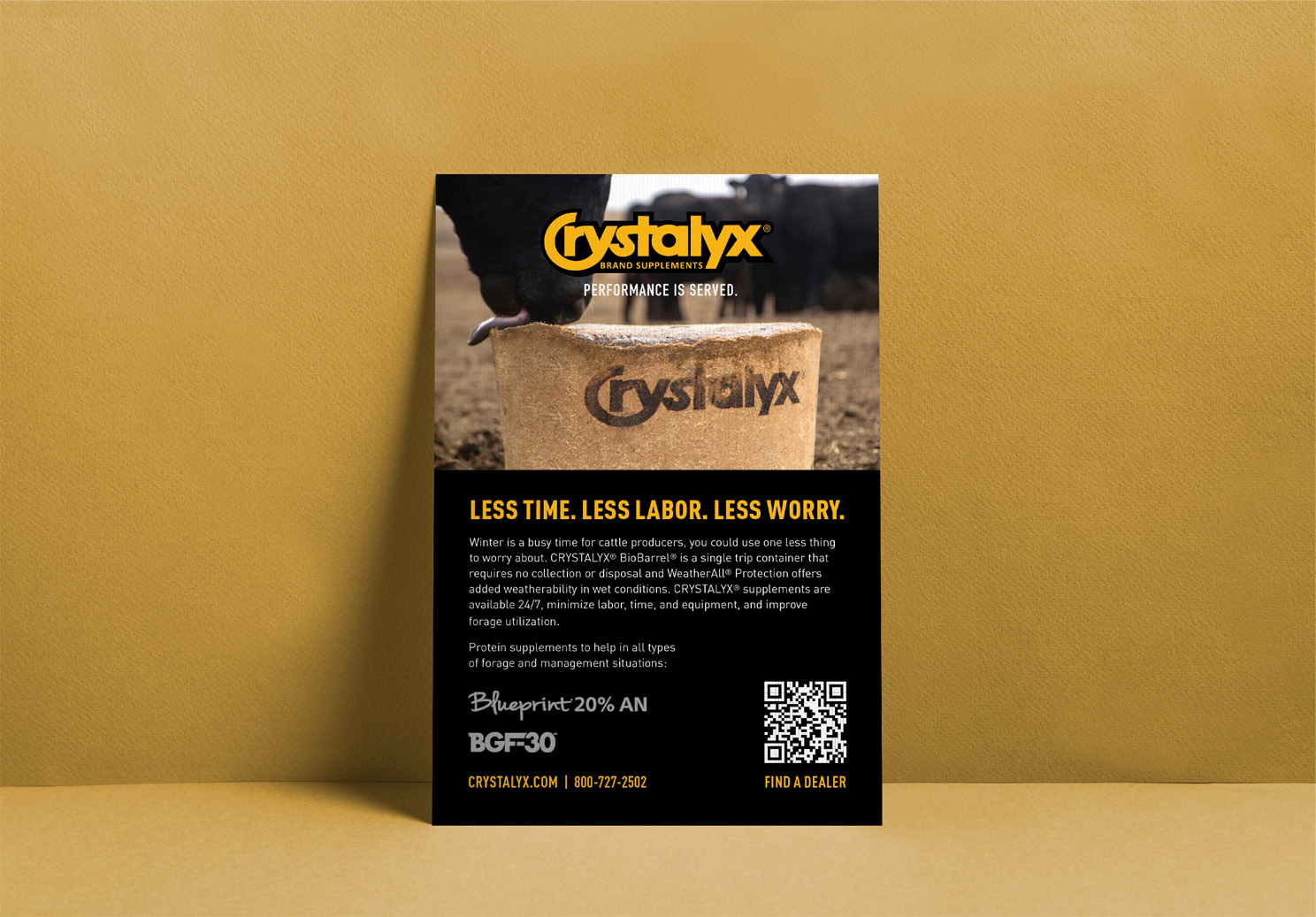 Crystalyx Flyer Mockup